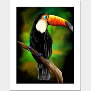 Toco toucan Posters and Art